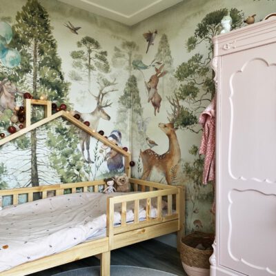 Projecten LK Huis 12